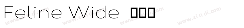 Feline Wide字体转换